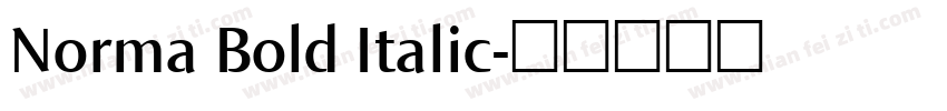 Norma Bold Italic字体转换